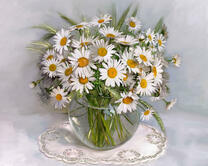 Без бренда «2KMA-0021» в Курске