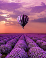 Без бренда «Фиолетовый воздушный шар над фиолетовым лавандовым полем» в Курске