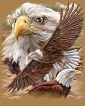 Без бренда «2KMB-4315» в Курске