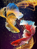 Без бренда «Желтая и красная рыбки» в Курске