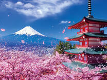 Без бренда «2KSB-7277» в Курске