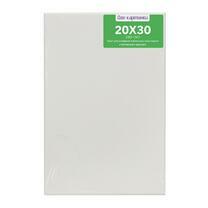 Без бренда «Коробка 80 шт.: Холст Две картинки на подрамнике 20X30» в Курске