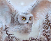 Без бренда «Полярная сова над лесом (20шт)» в Курске