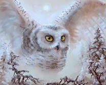 Без бренда «Полярная сова над лесом (20шт)» в Курске