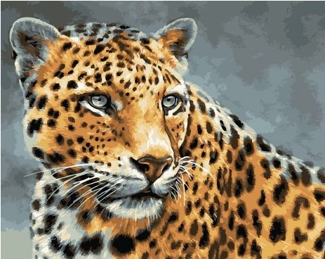 Картина по номерам 40x50 Леопард