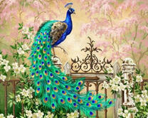 Павлин с роскошным хвостом на оградке