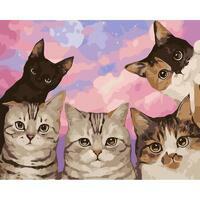 Без бренда «Такие разные котики» в Курске