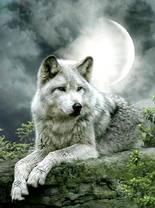 Без бренда «Коробка 25 шт. картин по номерам BOX25-GX21058» в Курске