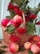 Без бренда «Коробка 25 шт. картин по номерам BOX25-GX5174» в Курске в интернет-магазине  Без бренда «Коробка 25 шт. картин по номерам BOX25-GX5174» в Курске