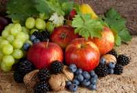 Без бренда «Фрукты, ягоды и орехи» в Курске в интернет-магазине Без бренда «Фрукты, ягоды и орехи» в Курске