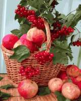 Без бренда «Плетёная корзина с калиной и яблоками» в Курске