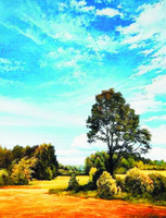 Без бренда «Осенний пейзаж с голубым небом» в Курске