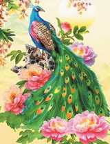 Павлин с зеленым хвостом