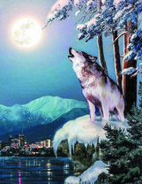 Вой одинокого волка у озера