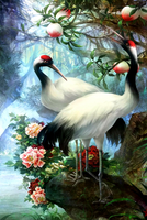 Без бренда «Коробка 25 шт. картин по номерам BOX25-GX29399» в Курске в интернет-магазине  Без бренда «Коробка 25 шт. картин по номерам BOX25-GX29399» в Курске