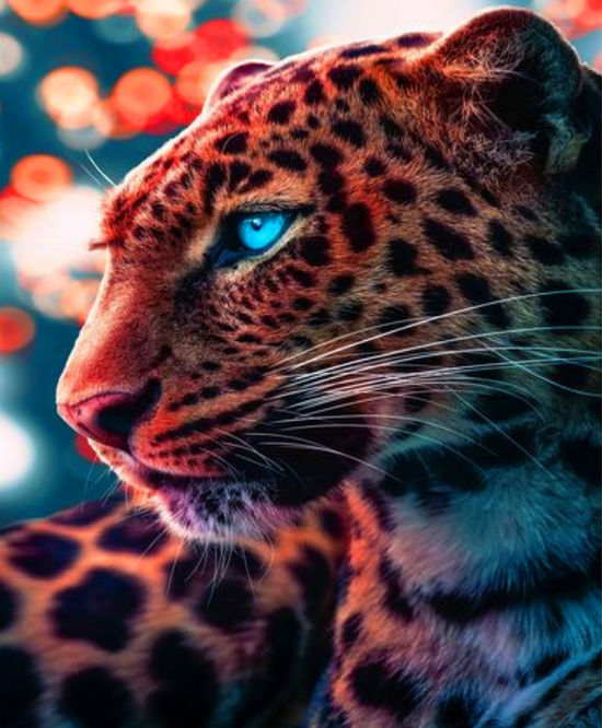 Картина по номерам 40x50 Голубоглазый леопард