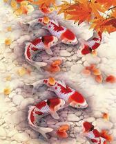 Карпы кои и осеннее листья